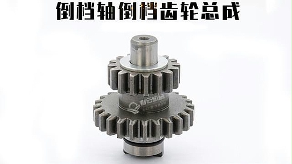 倒档齿轮总成