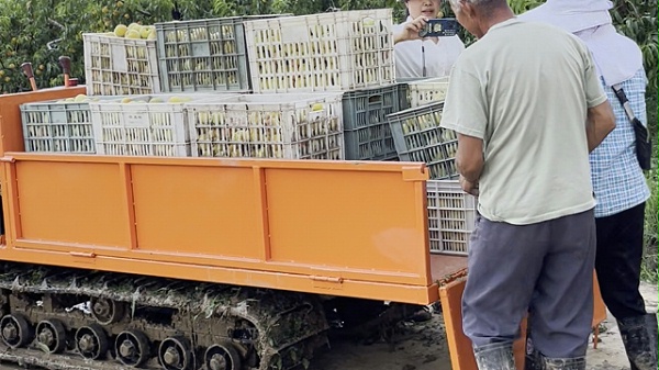 橙色履带运输车3