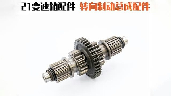 21变速箱转向制动总成配件